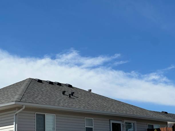 Best Steel Roofing  in Evans City, PA